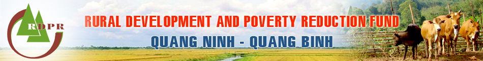 Banner tiếng Anh